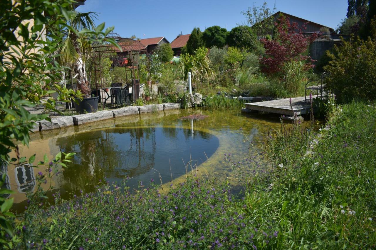 Palmengarten Finning Esterno foto